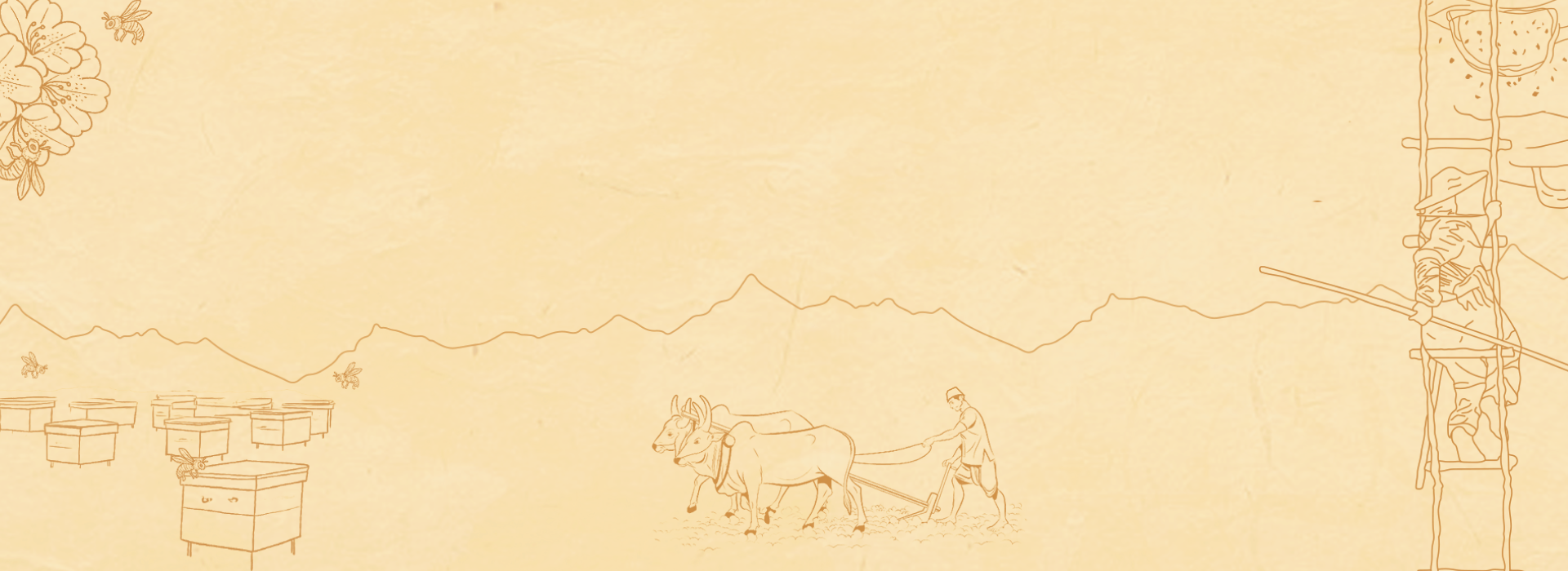Footer background
